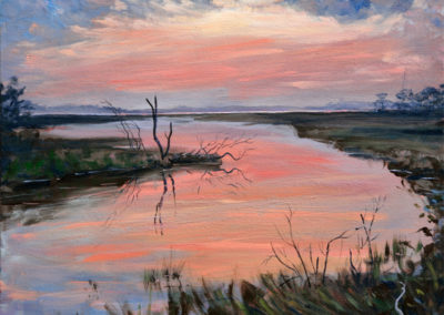 assateague marshes painting