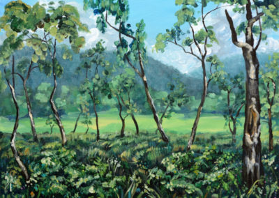 shenandoah landscape painting