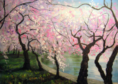 dc cherry blossoms painting