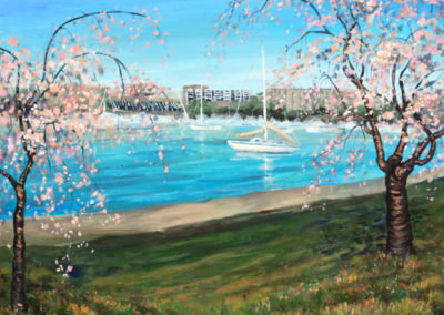 dc cherry blossoms painting