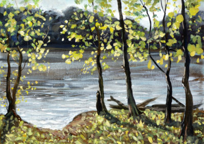 sunset at the needwood lake landscape painting