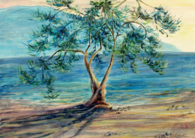 olive tree painting